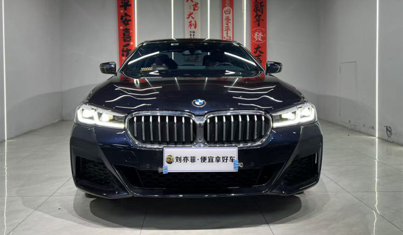 
								BMW 5 520d xDrive full									