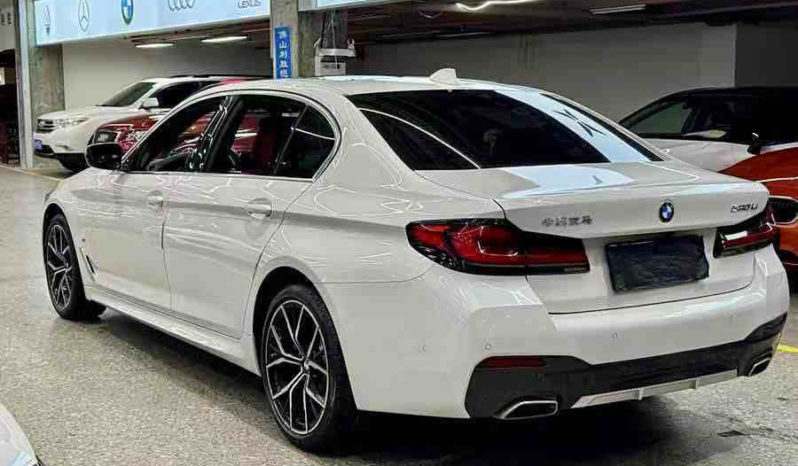 
								BMW 5 530i xDrive full									