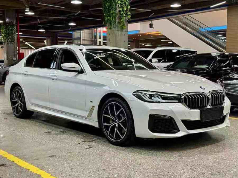 
								BMW 5 530i xDrive full									